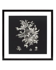 Black & Tan Corals Prints - Set of 4 