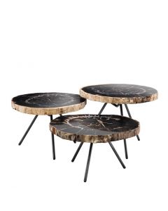 De Soto Dark Petrified Wood Coffee Table - Set of 3