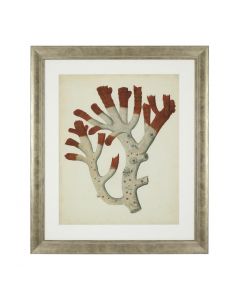 Antique Red Corals Prints - Set of 6 