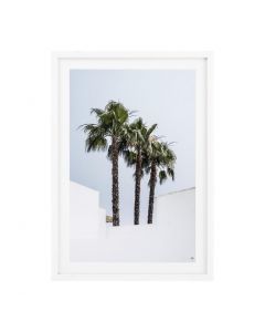 Palm Trees Prints - Set of 2 