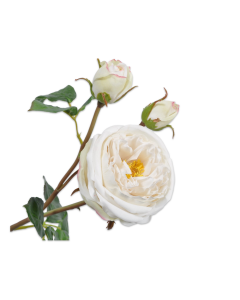 Rose White Artificial Stem 57cm