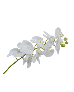  White Artificial Orchid Stem 100cm