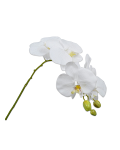 White Orchid Artificial Stem 79cm