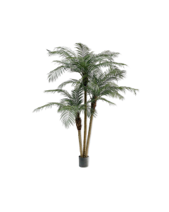 Phoenix Green Artificial Palm 183cm