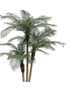 Phoenix Green Artificial Palm 183cm