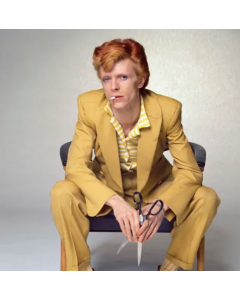 David Bowie  - Yellow Mustard Series 