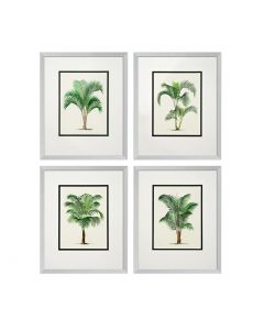 Palm Prints - Set of 4 