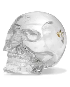 Philipp Plein Diamond Skull