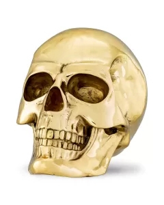 Philipp Plein Gold Skull Element