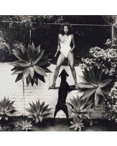 Raquel Welch, Beverly Hills, 1981 
